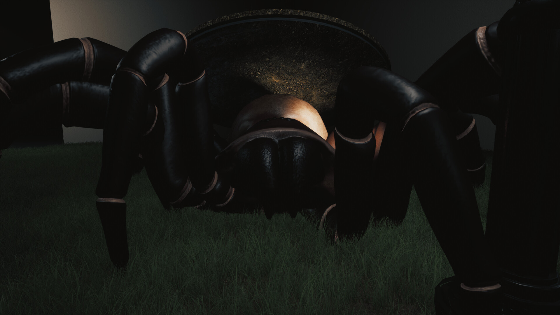 巨蛛猎手/Huntsman