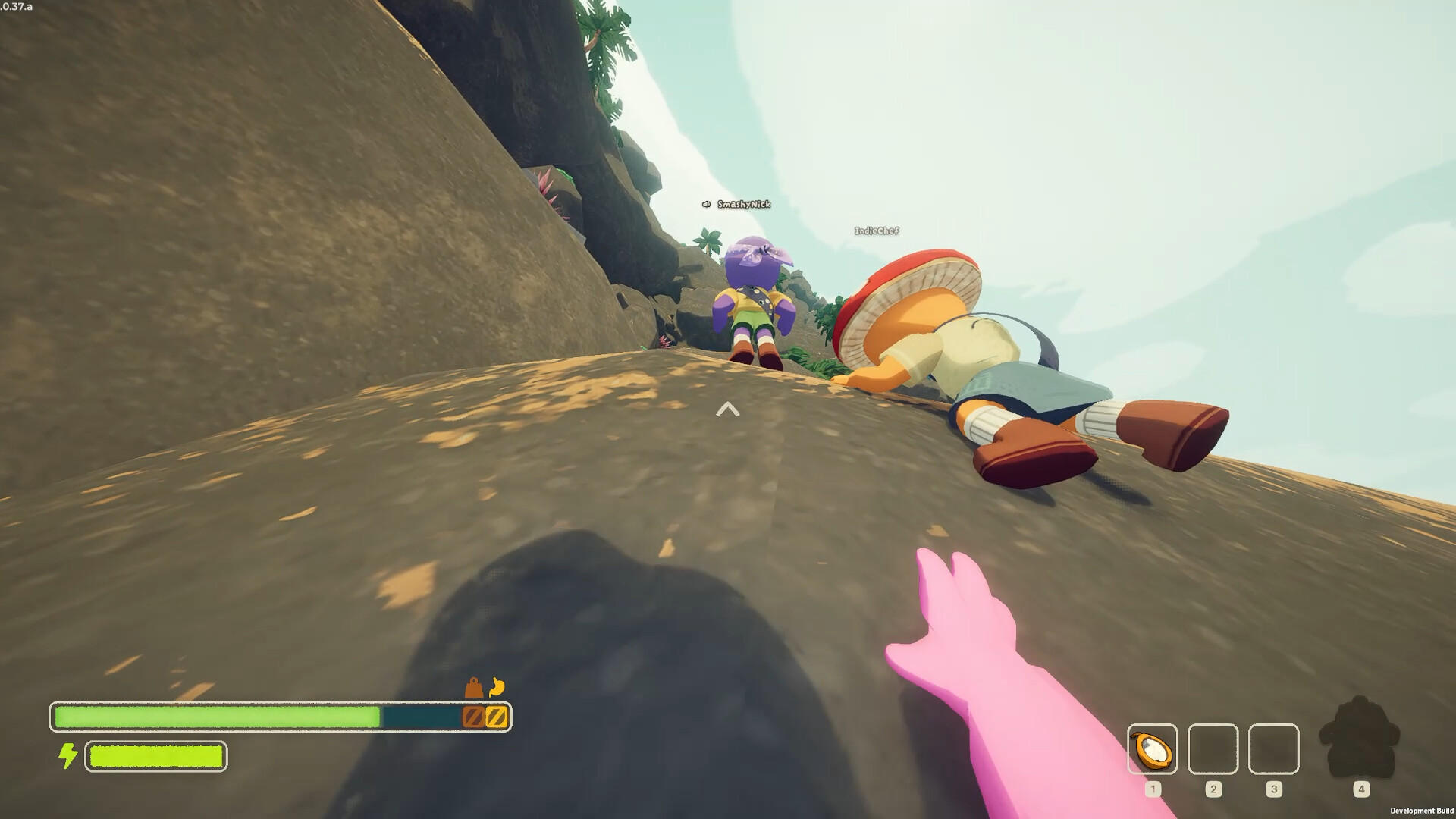 巅峰/PEAK/支持网络联机