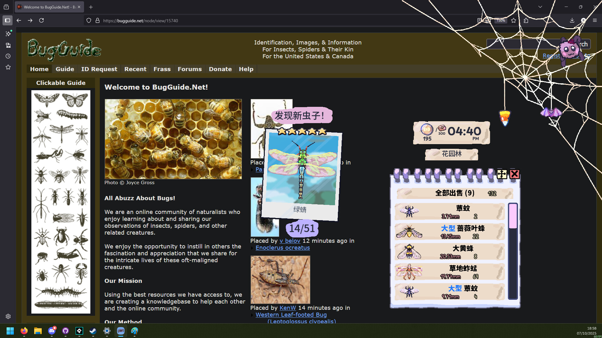 我的小小蜘蛛/My Little Spider