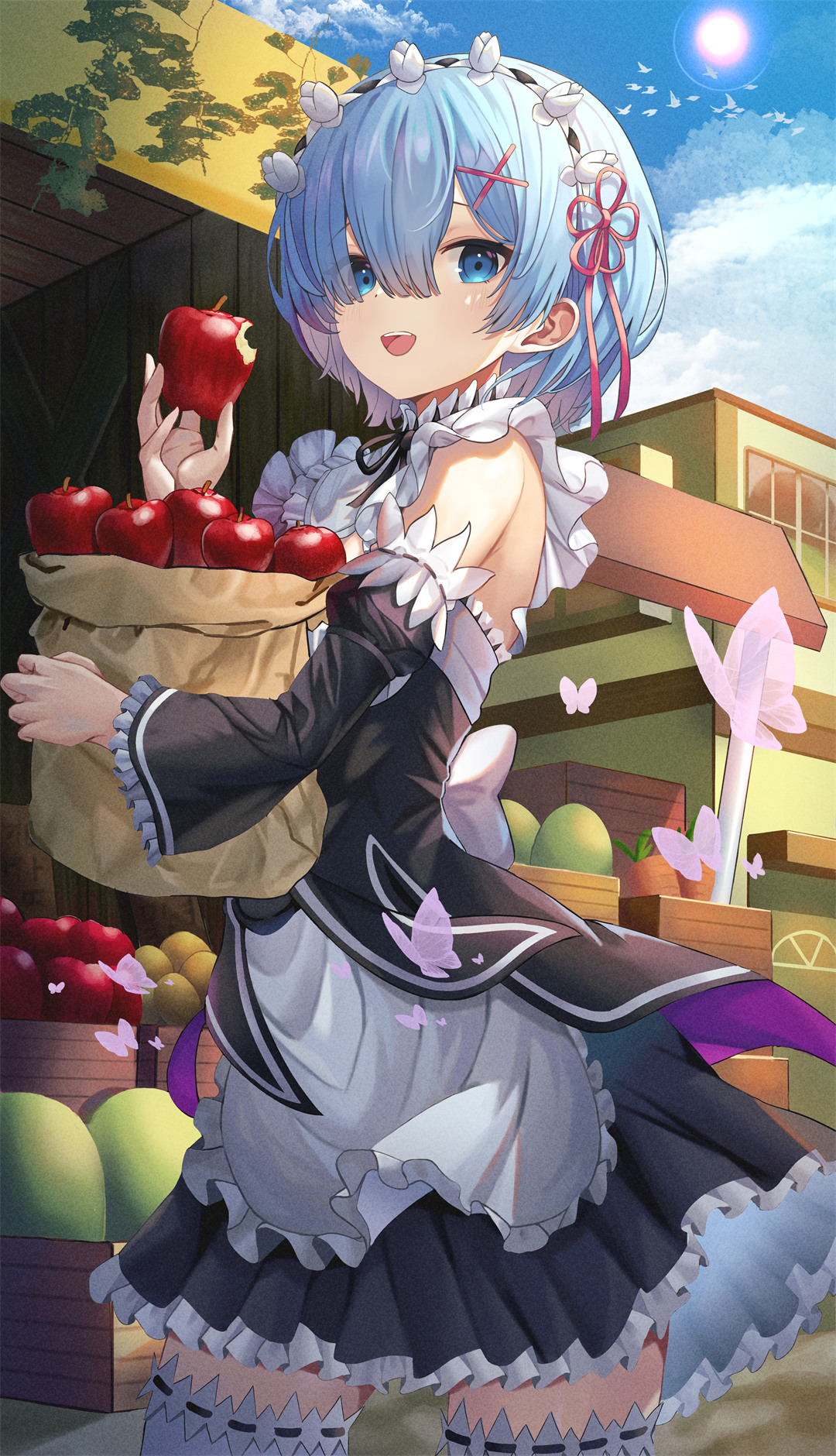 原地孤芳自赏，不如自由盛放