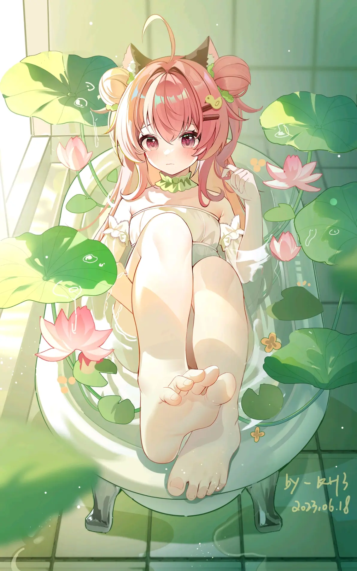 于水面绽放 – 睡莲及荷花插画特辑