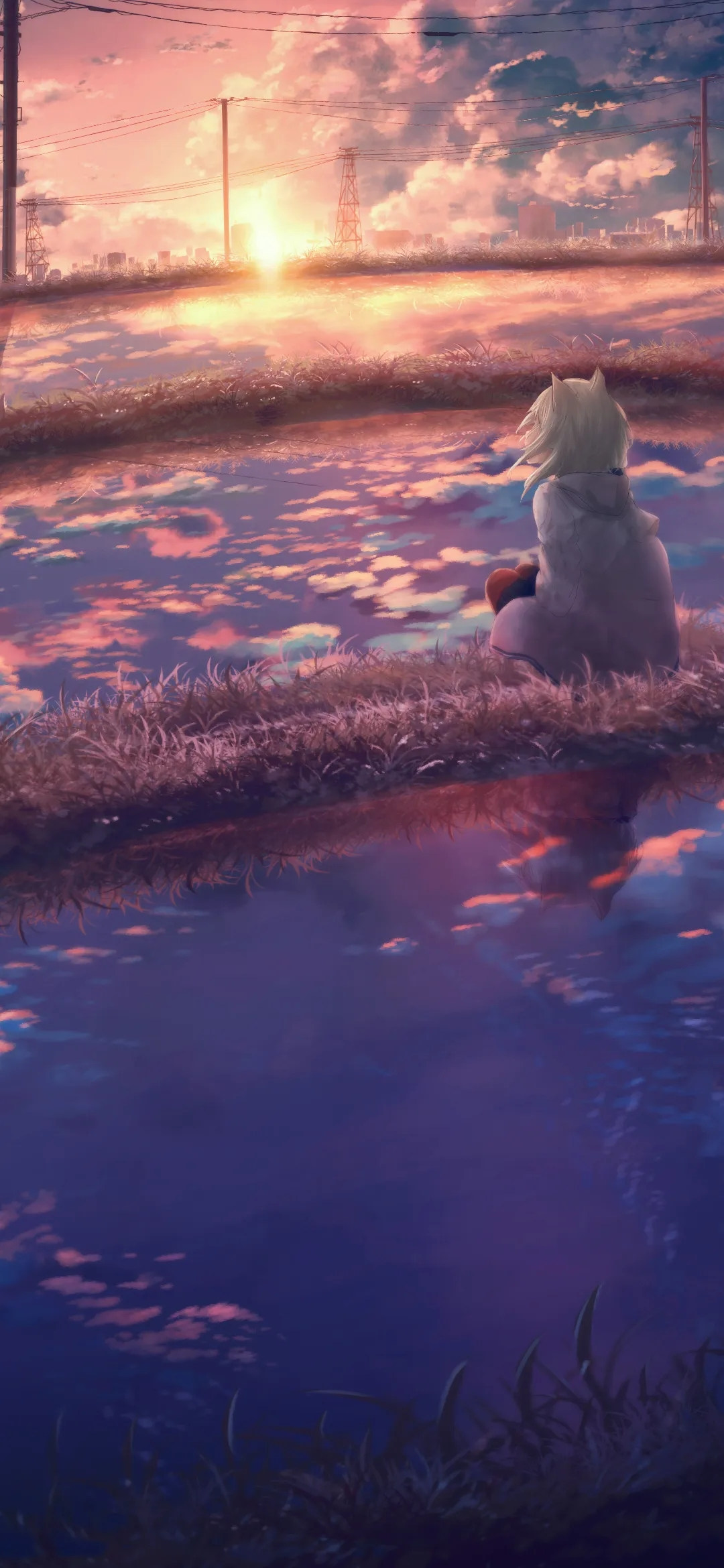 是谁从夜拽下一缕光 将那已沉寂的心扰乱