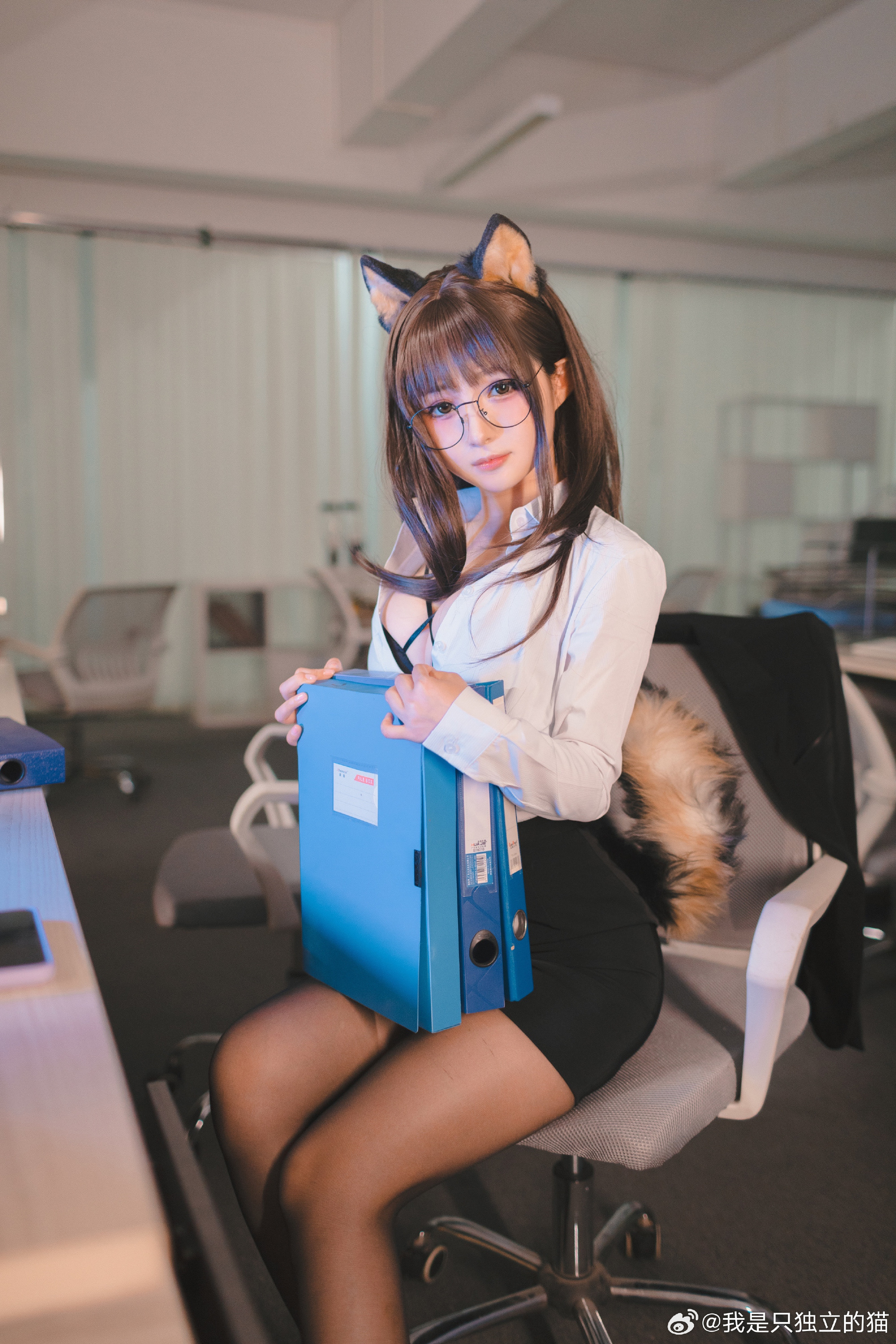 Cosplay | 你的猫独自在家时表现得独立吗？