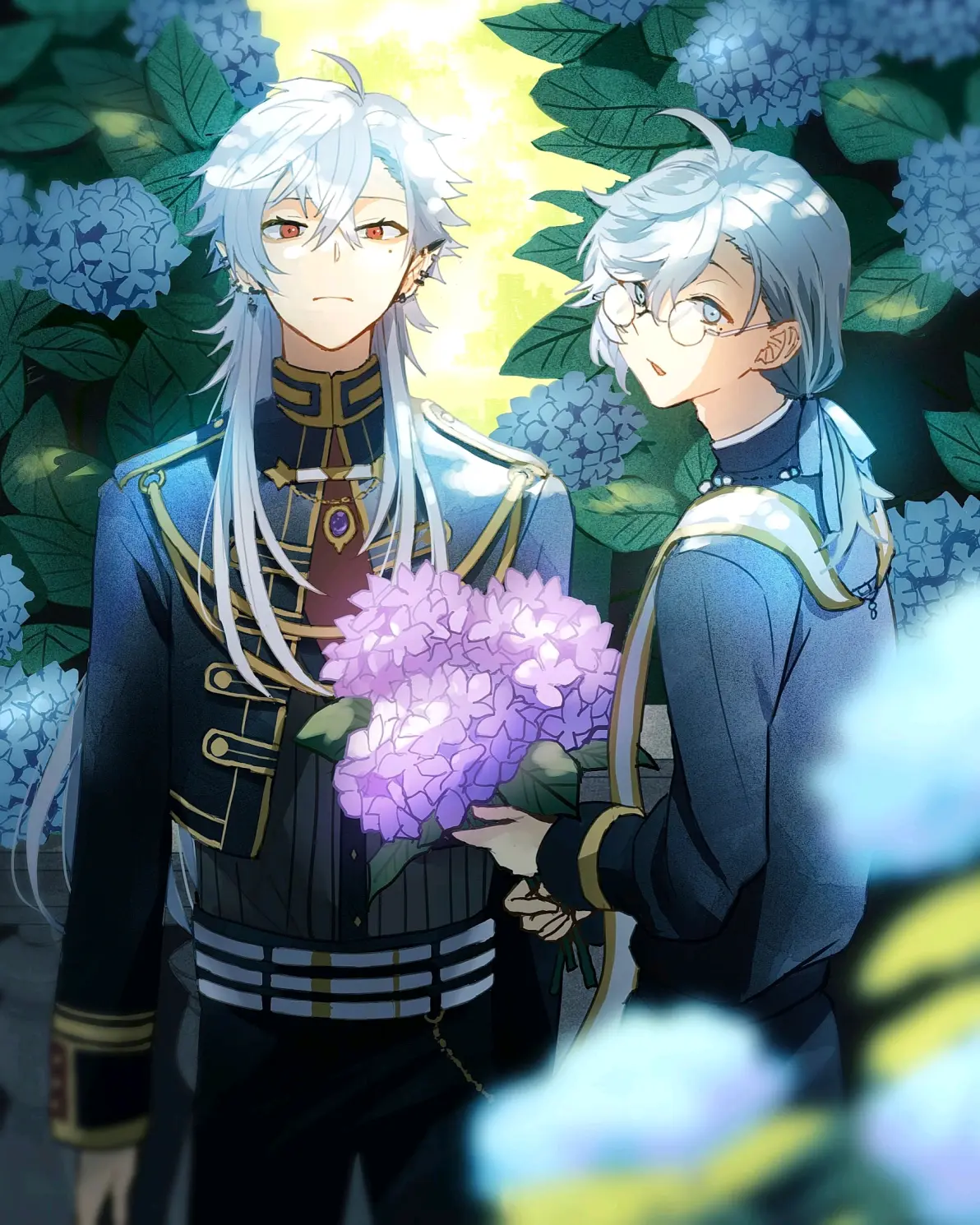 为雨景增色/绣球花插画特辑