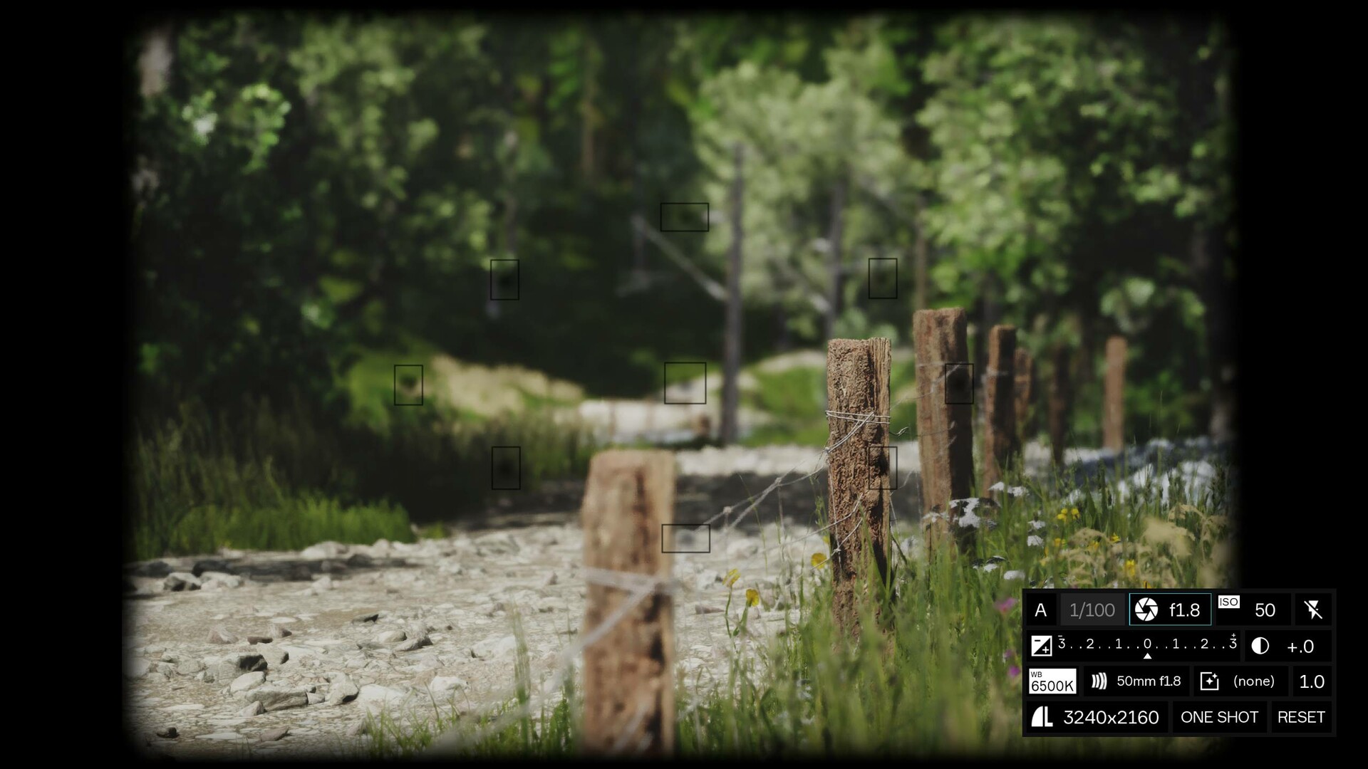 模拟美景摄影/Lushfoil Photography Sim