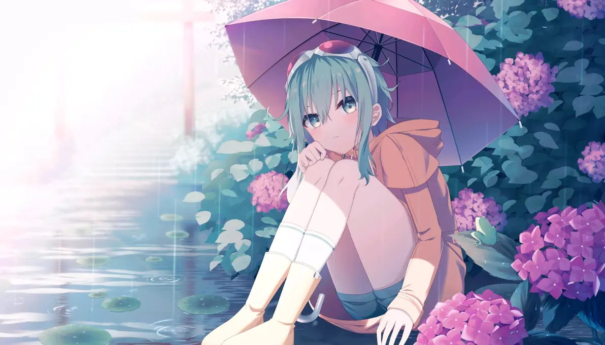 为雨景增色/绣球花插画特辑