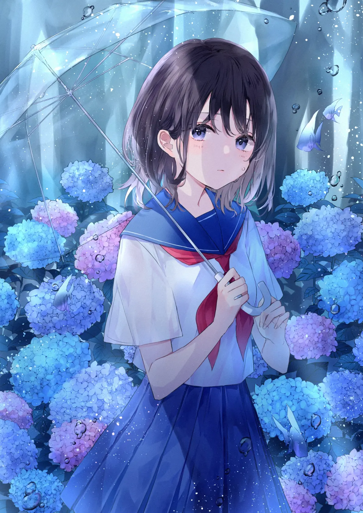 为雨景增色/绣球花插画特辑