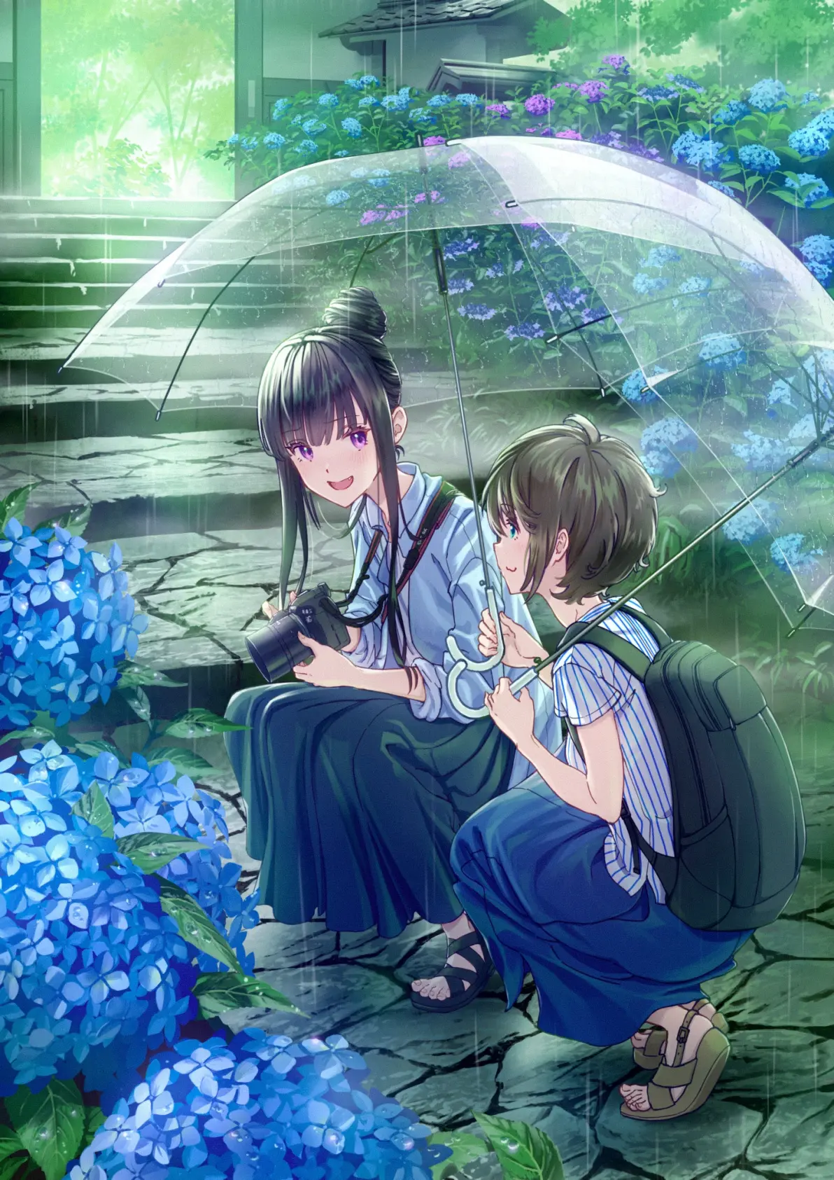 为雨景增色/绣球花插画特辑