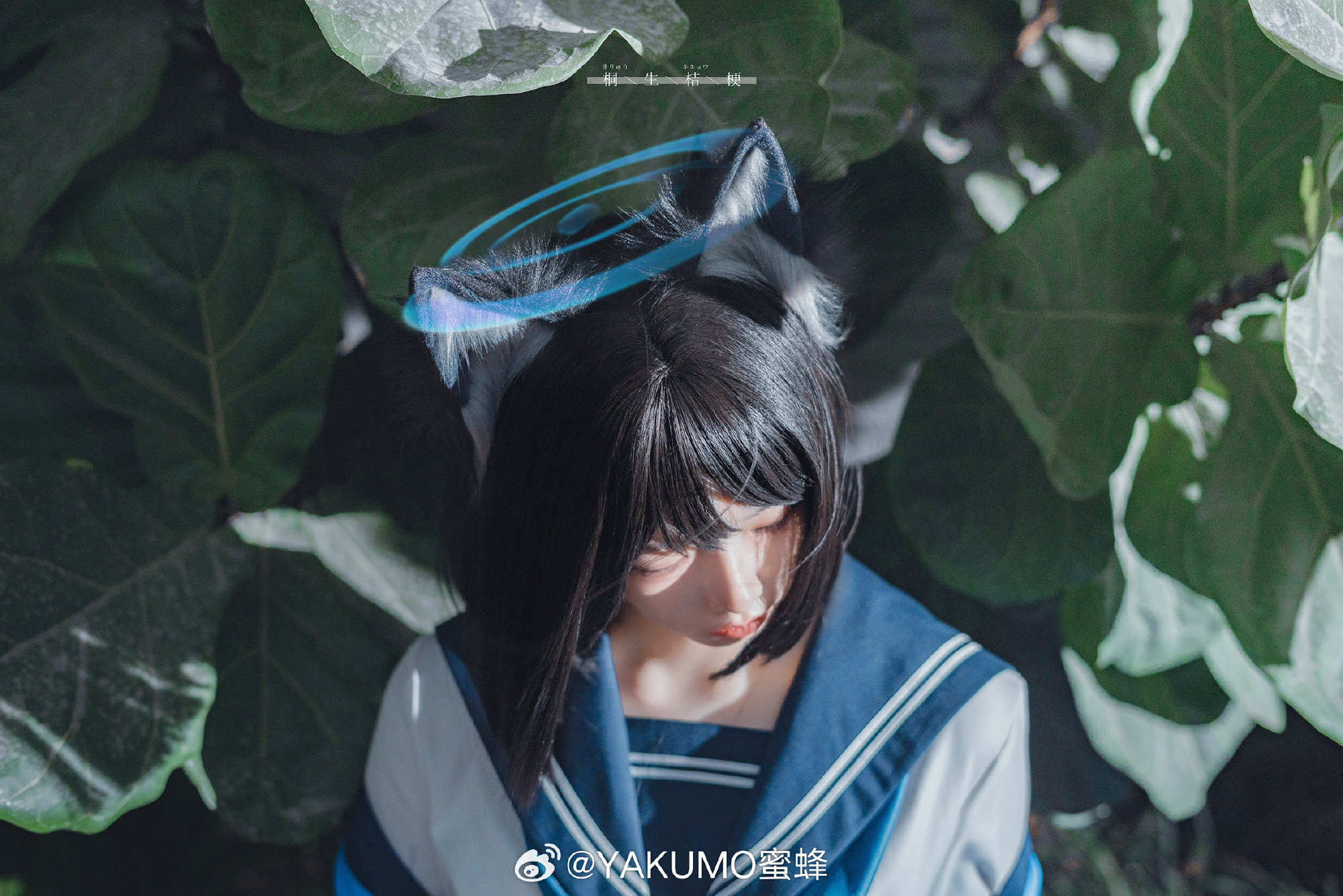 虽然看起来十分冷酷，但实际上是很温柔的一位学生