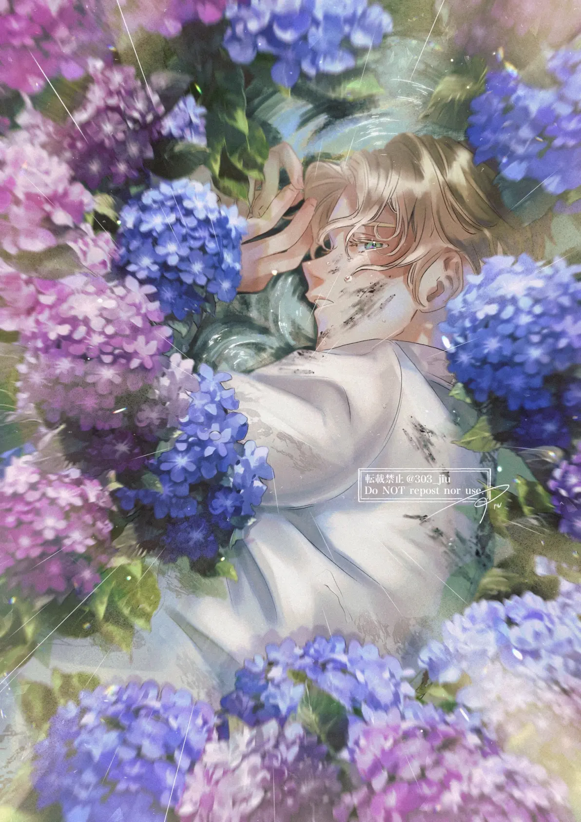 为雨景增色/绣球花插画特辑