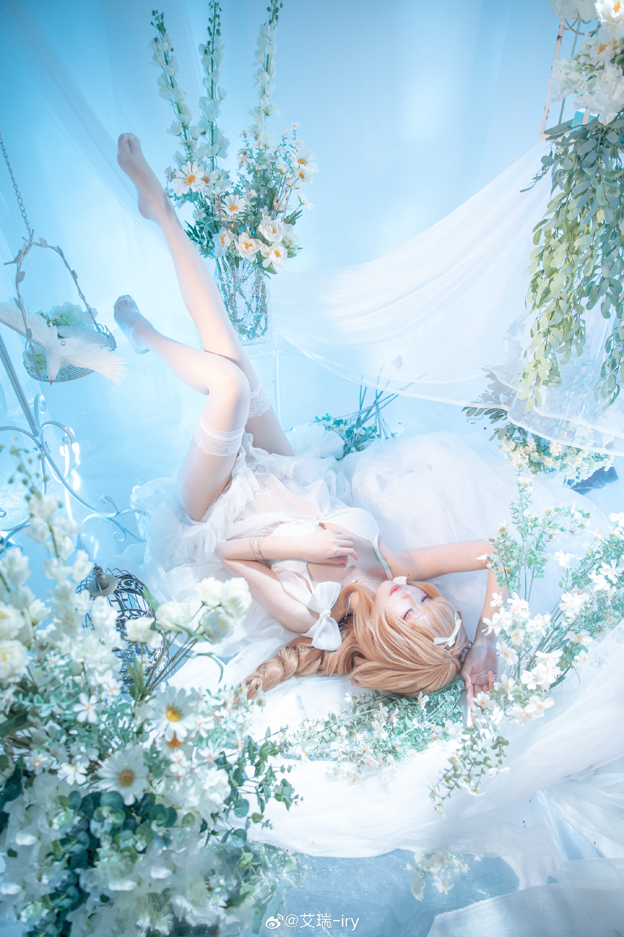 渴望触碰天空的金丝雀，被困于名为“家族”的华丽牢笼中?️