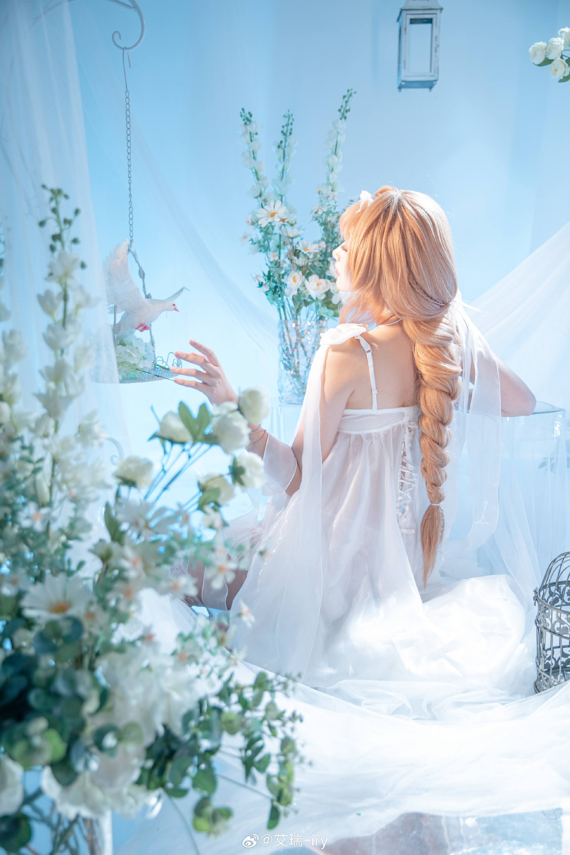 渴望触碰天空的金丝雀，被困于名为“家族”的华丽牢笼中?️