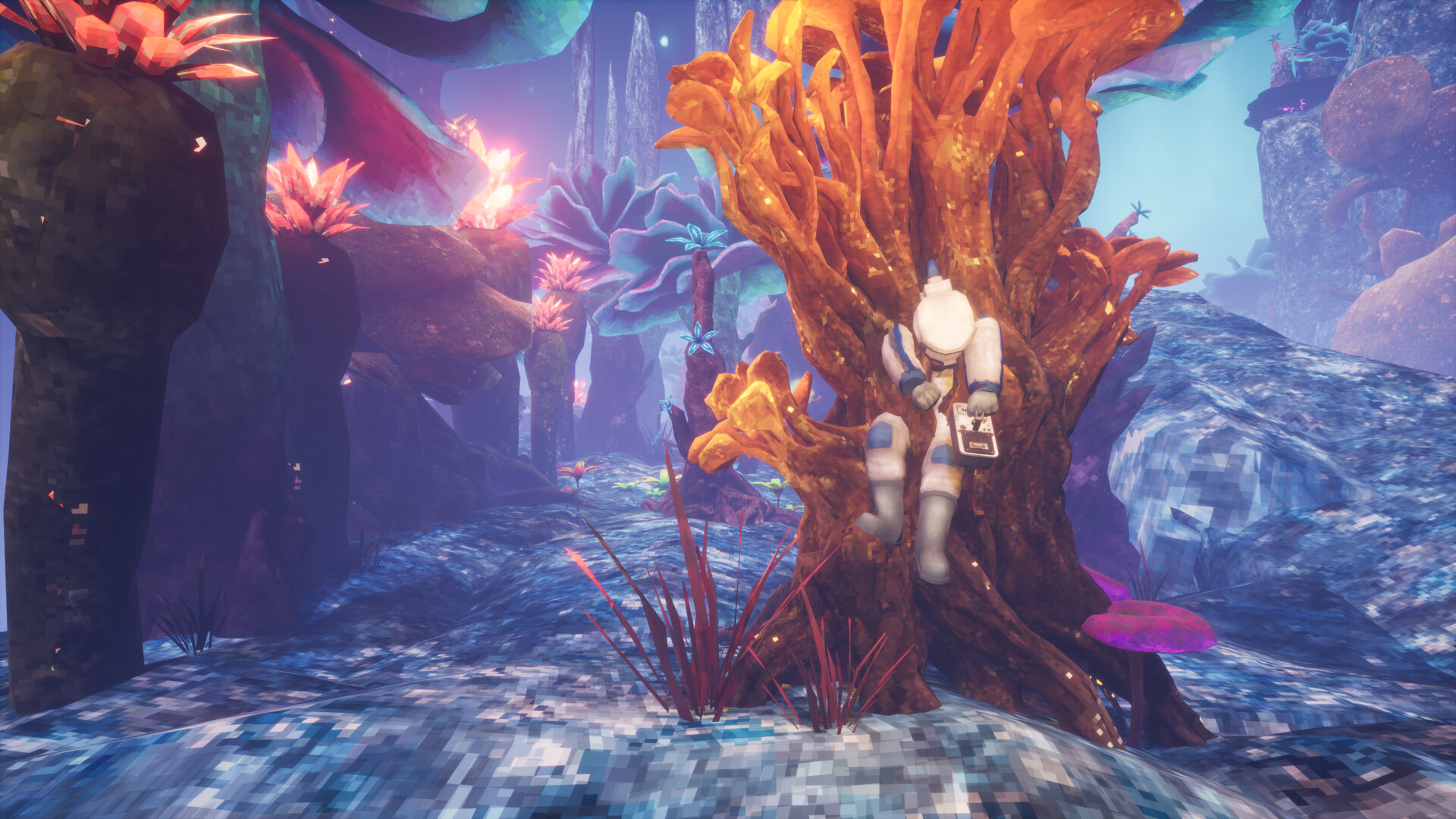 非生物因素/Abiotic Factor