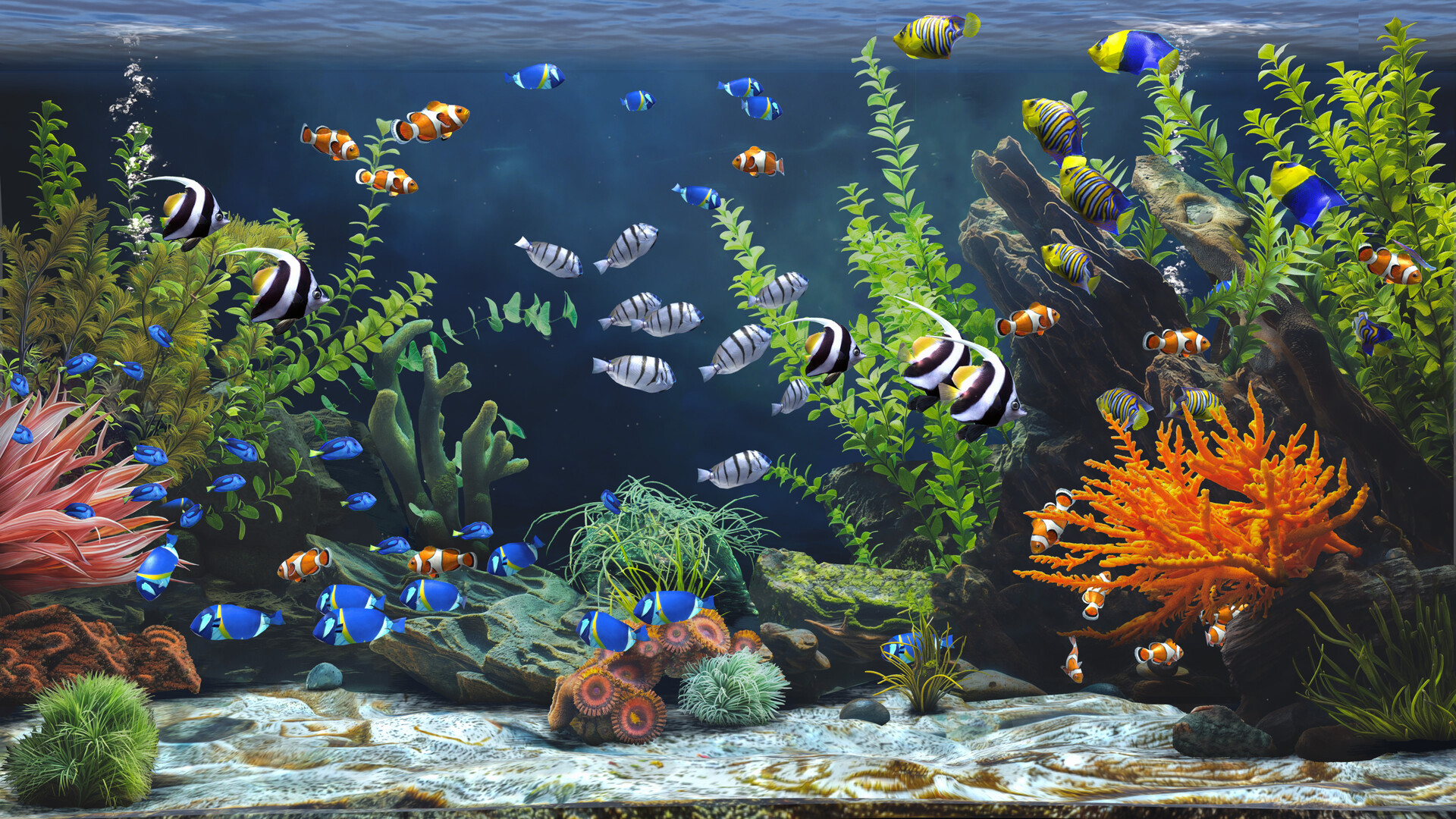 禅意水族馆/Zen Aquarium