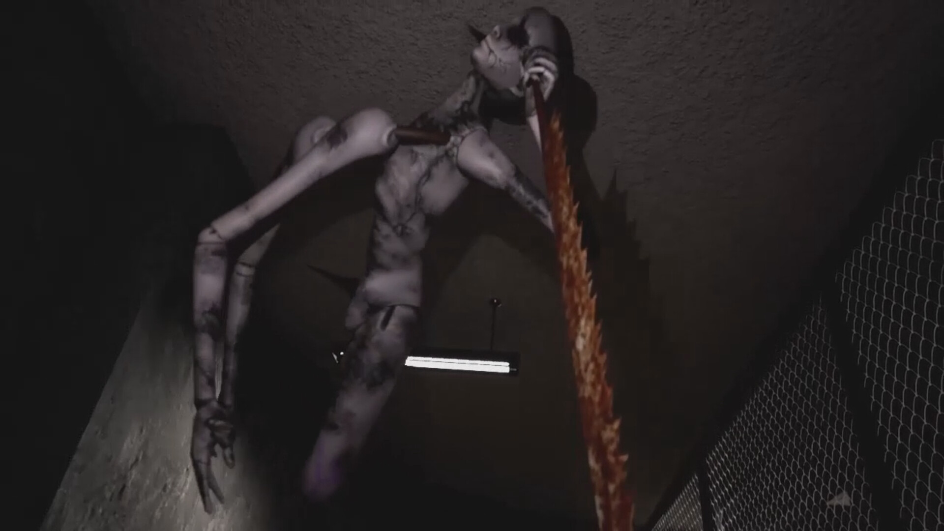 终末期异化/DYSTHANASIA