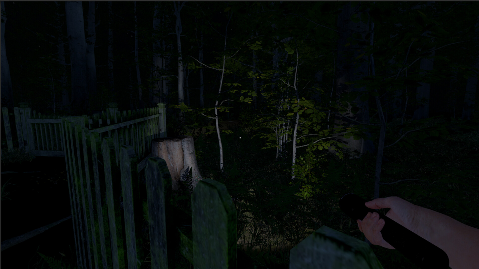 灰人：人类绑架/The Greys: Human Abductions