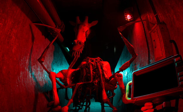 癫狂动物园/Zoochosis