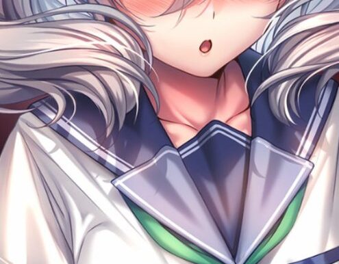 画师ピロ水(Piromizu)游戏精选CG