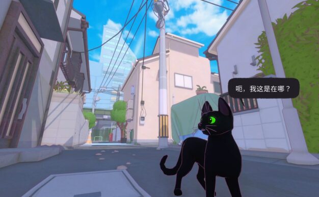 小猫咪大城市/Little Kitty, Big City