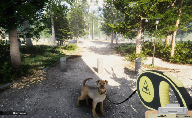 动物收容所/Animal Shelter