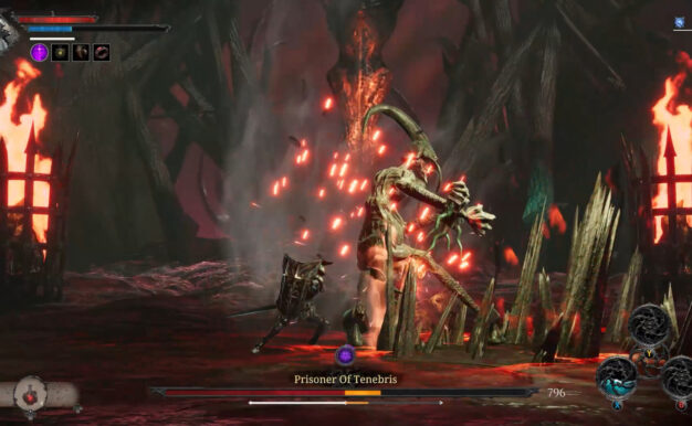 维拉斯特/VELASTER