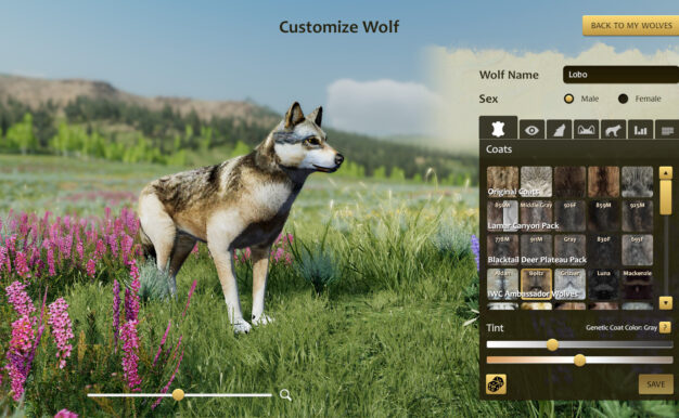 野狼谜踪：周年纪念版/WolfQuest: Anniversary Edition