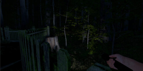 灰人：人类绑架/The Greys: Human Abductions