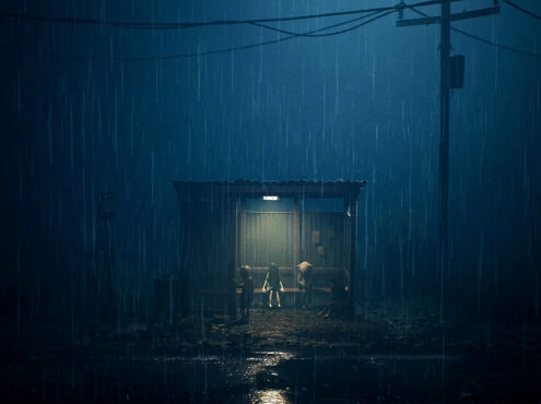 生灵重塑/REANIMAL