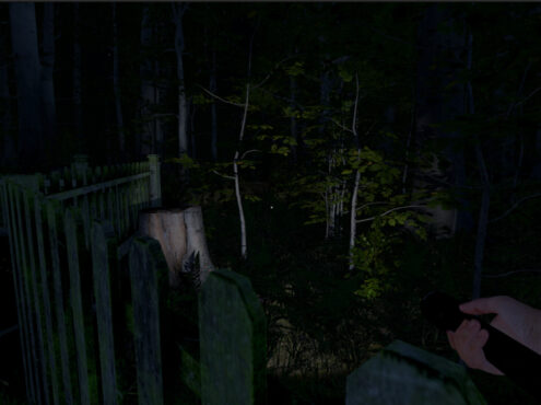 灰人：人类绑架/The Greys: Human Abductions